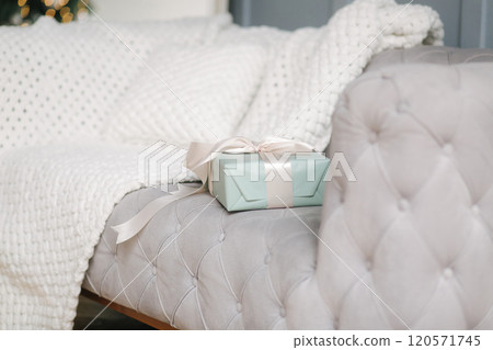 Little present stand on sofa at home. Christmas mood. Winter holiday Little present stand on sofa at home. Christmas mood. Winter holiday 120571745