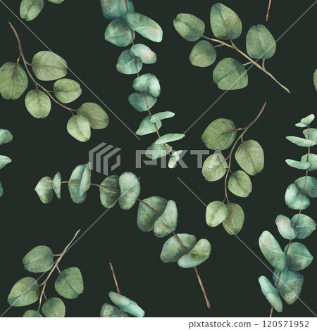 Eucalyptus plant Greenery Watercolor seamless pattern. Green branches with green Leaves hand drawn botanical illustration for wedding, floral wallpaper, natural fabric design isolated dark background  120571952