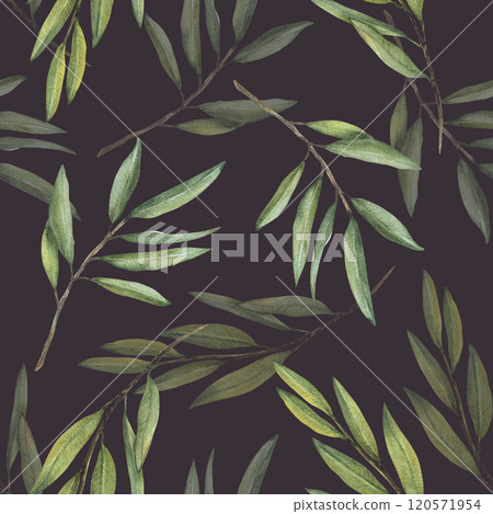 Olive tree branches, fruitless with green leaves seamless pattern. watercolor Botanical floral clipart. Hand drawn greenery foliage realistic illustration wallpaper, fabric Isolated dark background Olive tree branches, fruitless with green leaves seamless pattern. watercolor Botanical floral clipart. Hand drawn greenery foliage realistic illustration wallpaper, fabric Isolated dark background 120571954