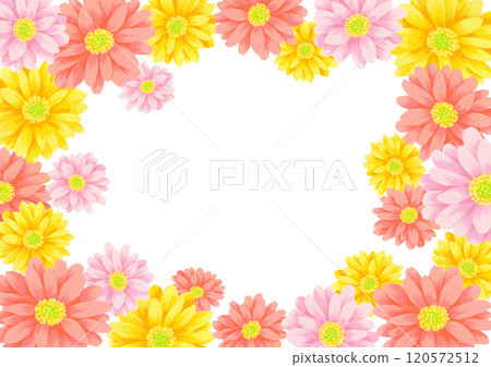 卡片用非洲菊花卉插圖 120572512