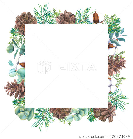 Frame with watercolor Christmas tree branches, pine cones, eucalyptus and bolls of cotton. Hand drawn illustration of template for New Year invitations. Border with spruce twigs on isolated background 120573089