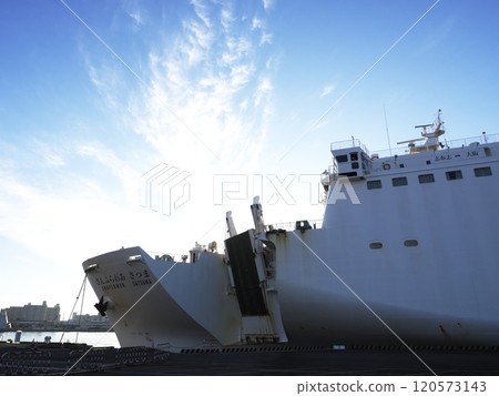 向日葵薩摩大阪港 120573143