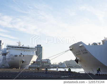 向日葵紅和薩摩大阪港 120573144