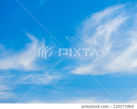 深秋晴藍天40 120573968