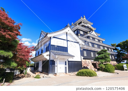 [岡山縣]岡山城天守閣與秋葉（令和大整修後） 120575406