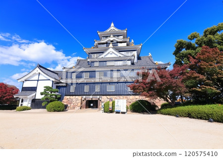 [岡山縣]岡山城天守閣與秋葉（令和大整修後） 120575410