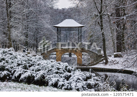 A picturesque winter scene of a snow-covered park with chinese bridge surrounded by frosted trees and bushes, reflecting the serene beauty of nature in cold weather. 120575471