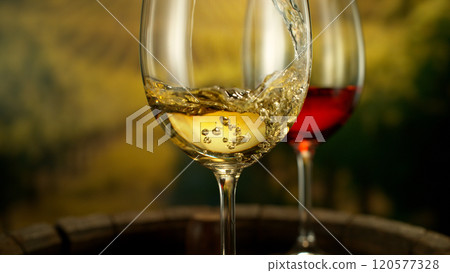 Close-up of white wine pouring into glass on vineyards , freeze motion 120577328