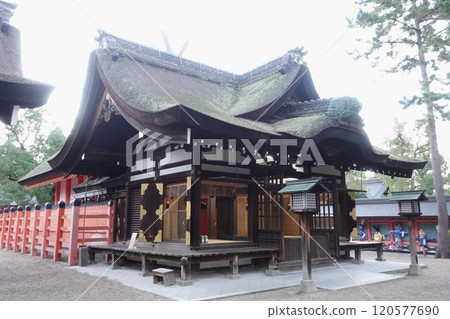 大阪住在吉神社（住吉大社） 120577690