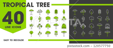 Tropical jungle forest trees line icons of jungle palms and baobab, vector symbols. Rainforest and Amazon or African trees icons of coconut palm, bonsai and willow with deciduous tree and leaf plants Tropical jungle forest trees line icons of jungle palms and baobab, vector symbols. Rainforest and Amazon or African trees icons of coconut palm, bonsai and willow with deciduous tree and leaf plants 120577750