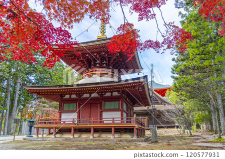 紅葉覆蓋的高野山團上伽藍東塔 120577931
