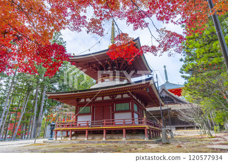 Koyasan Danjo Garan East Pagoda surrounded by autumn leaves Koyasan Danjo Garan East Pagoda surrounded by autumn leaves 120577934