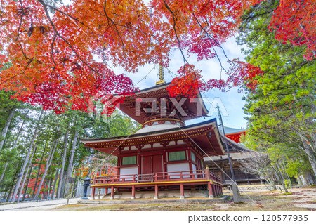 Koyasan Danjo Garan East Pagoda surrounded by autumn leaves 120577935