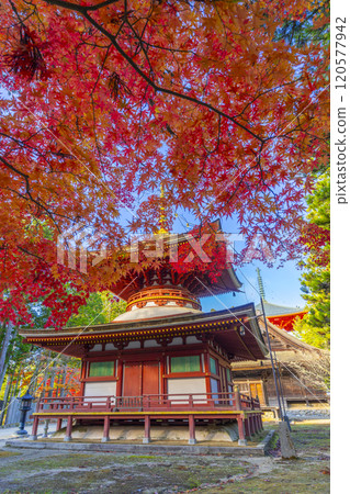 Koyasan Danjo Garan East Pagoda surrounded by autumn leaves Koyasan Danjo Garan East Pagoda surrounded by autumn leaves 120577942