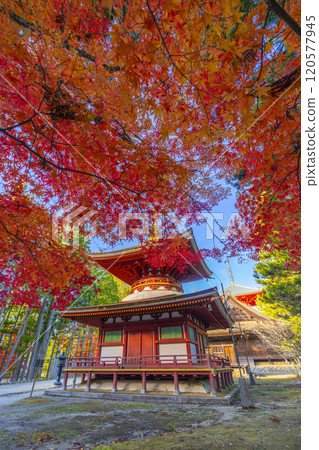 Koyasan Danjo Garan East Pagoda surrounded by autumn leaves Koyasan Danjo Garan East Pagoda surrounded by autumn leaves 120577945