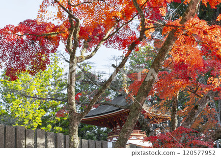 紅葉覆蓋的高野山團上伽藍東塔 紅葉覆蓋的高野山團上伽藍東塔 120577952