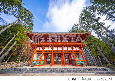 落葉覆蓋的高野山團上伽藍中門 120577963