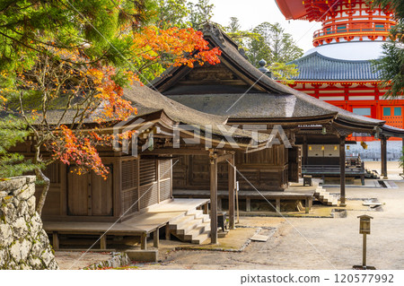 Mount Koya: Danjo Garan: The Great Pagoda of Honpo surrounded by autumn leaves Mount Koya: Danjo Garan: The Great Pagoda of Honpo surrounded by autumn leaves 120577992