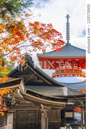 紅葉覆蓋的高野山團上伽藍根本大東 120578000