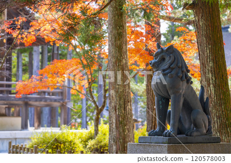 Koyasan Danjo Garan Autumn leaves and lion dogs Koyasan Danjo Garan Autumn leaves and lion dogs 120578003