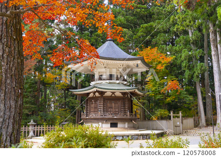 Mount Koya: Danjo Garan: Hexagonal Sutra Repository Surrounded by Autumn Leaves 120578008
