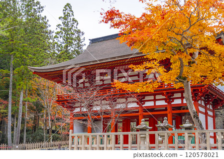 Mount Koya: Danjo Garan: The inner gate surrounded by autumn leaves 120578021