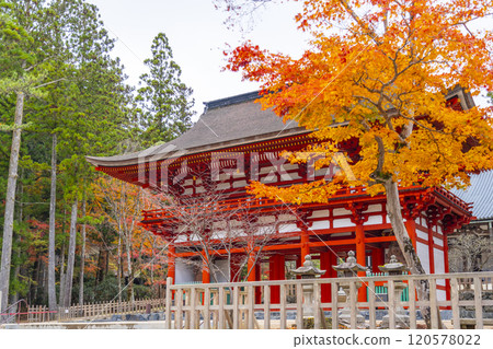 Mount Koya: Danjo Garan: The inner gate surrounded by autumn leaves Mount Koya: Danjo Garan: The inner gate surrounded by autumn leaves 120578022