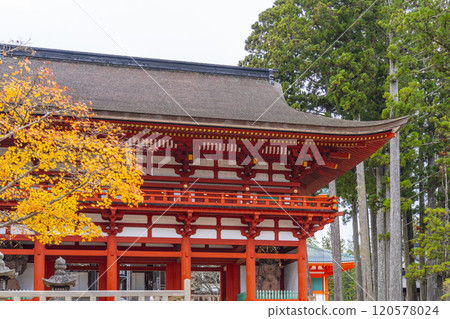 Mount Koya: Danjo Garan: The inner gate surrounded by autumn leaves 120578024