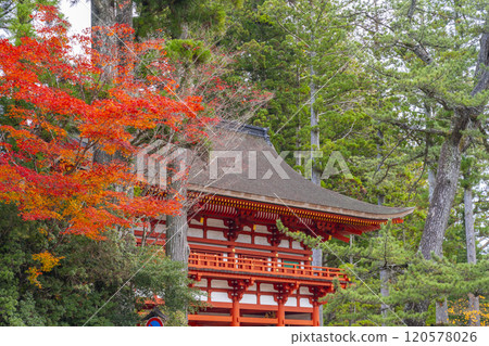 落葉覆蓋的高野山團上伽藍中門 120578026