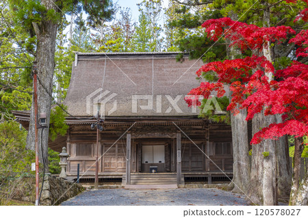 Mount Koya: Danjo Garan, the main hall surrounded by autumn leaves 120578027