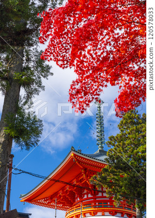 Mount Koya: Danjo Garan: The Great Pagoda of Honpo surrounded by autumn leaves 120578033