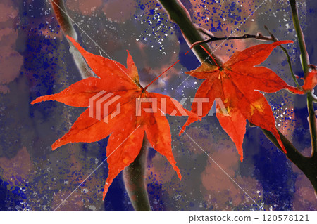 Autumn leaves fall 120578121