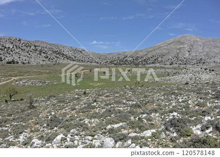 Nisimos plateau is located southwest of Heraklion and at almost 900 m height at the foothills of Selena mountain, Crete 120578148