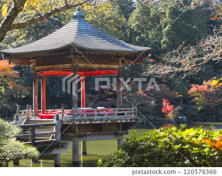 Autumn leaves of Naritasan Park 120578366