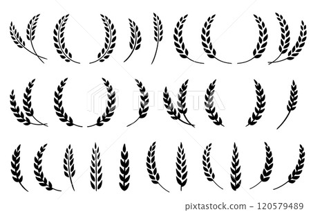 silhouette of weat ears, barley and rye spikelet set icons silhouette of weat ears, barley and rye spikelet set icons 120579489