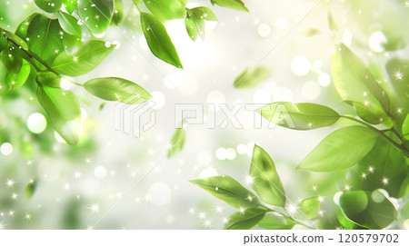 綠色植物與藍天背景素材 120579702