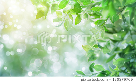 Green plants and blue sky background material 120579709