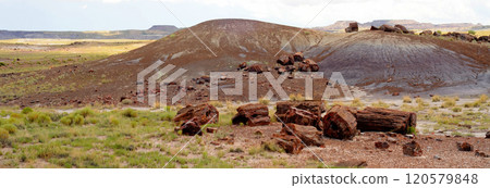 Bleak Landscape Petrified Forest National Park Arizona 120579848