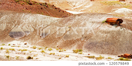 Bleak Landscape Petrified Forest National Park Arizona 120579849