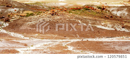 Bleak Landscape Petrified Forest National Park Arizona Bleak Landscape Petrified Forest National Park Arizona 120579851