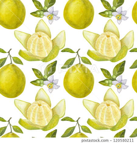 Seamless pattern pomelo citrus. Fresh yellow green fruit. Thick peel, juicy pulp, branches with leaves, flower. Hand drawn watercolor illustration white background. For printing on packaging, fabrics. Seamless pattern pomelo citrus. Fresh yellow green fruit. Thick peel, juicy pulp, branches with leaves, flower. Hand drawn watercolor illustration white background. For printing on packaging, fabrics. 120580211