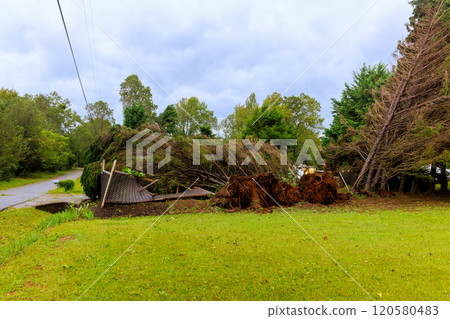 Severe storm has uprooted several tall trees, leaving them fallen on ground structure has sustained notable hurricane damage Severe storm has uprooted several tall trees, leaving them fallen on ground structure has sustained notable hurricane damage 120580483