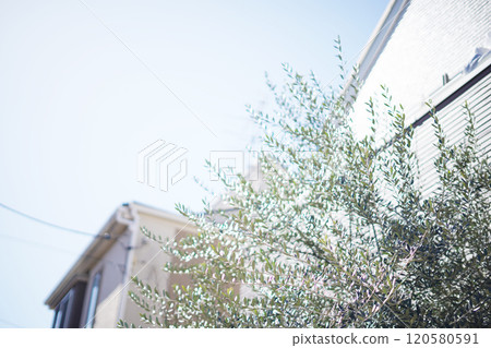 My dream home 120580591