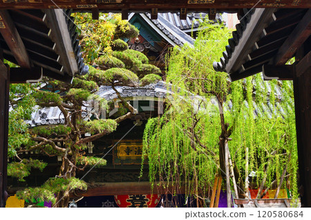 京都紫雲山長法寺六角堂（京都市中京區） 120580684