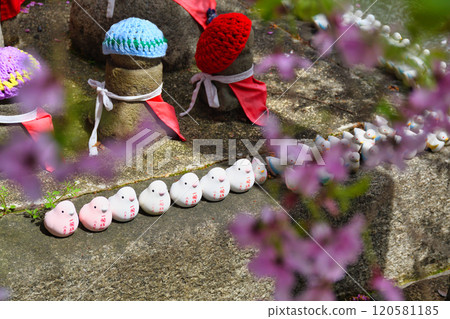 View of the Rokkakudo Hall at Chohoji Temple on Mount Shiun, Kyoto (Nakagyo Ward, Kyoto City) 120581185
