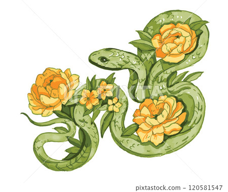 Green wooden snake illustration, vector Japanese 2025 New Year lunar horoscope symbol print, peony. Green wooden snake illustration, vector Japanese 2025 New Year lunar horoscope symbol print, peony. 120581547