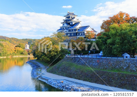 [Okayama Prefecture] Okayama Castle and Asahikawa River in yellow leaves (after major renovation in the Reiwa era) 120581557