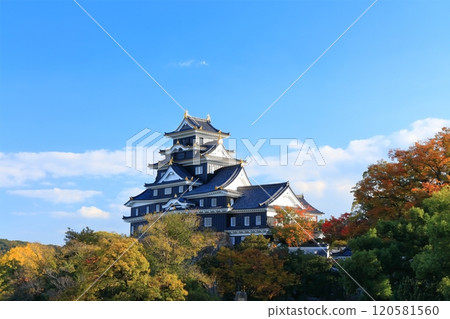 [Okayama Prefecture] Okayama Castle in yellow leaves (after major renovation in the Reiwa era) 120581560