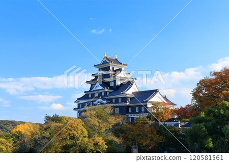 [Okayama Prefecture] Okayama Castle in yellow leaves (after major renovation in the Reiwa era) 120581561