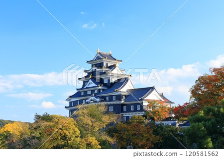 [Okayama Prefecture] Okayama Castle in yellow leaves (after major renovation in the Reiwa era) 120581562